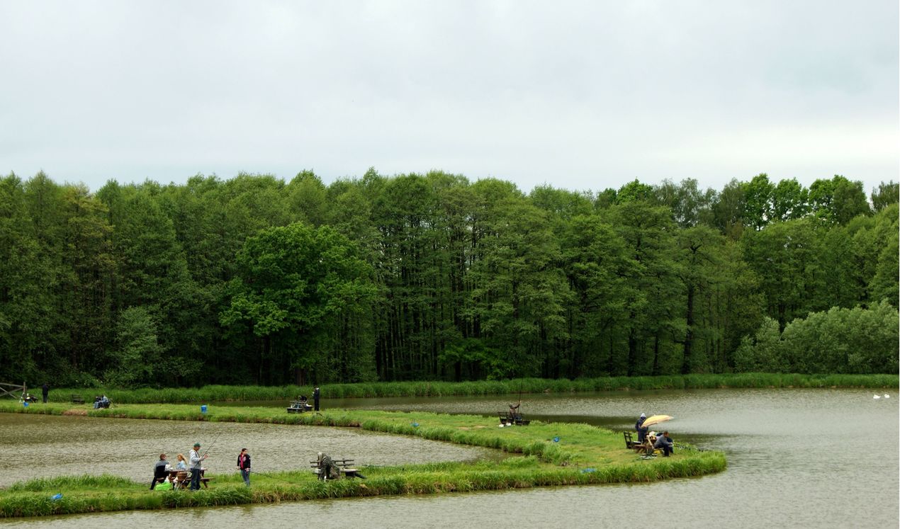 Widok na stawy, groble i las otaczający łowisko